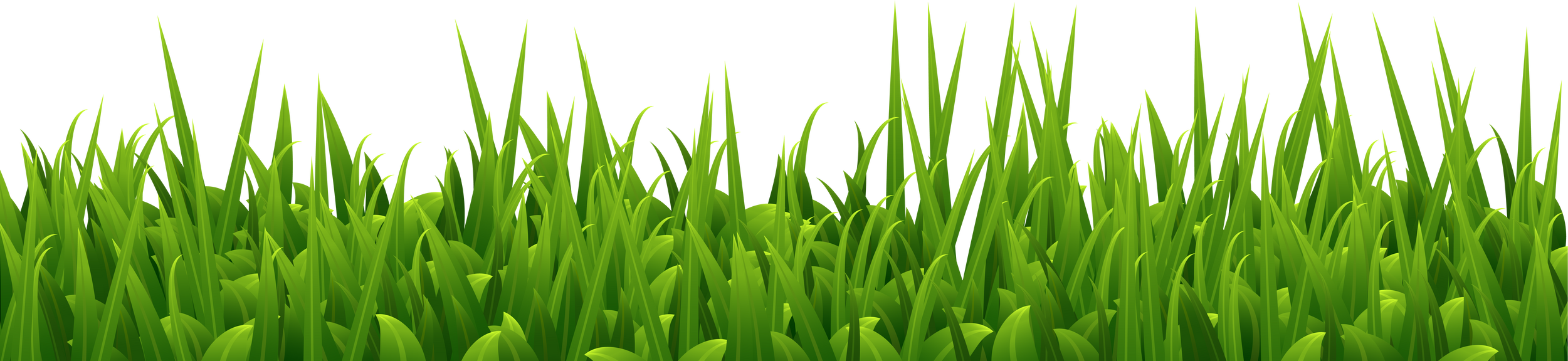 Grass Border Frame